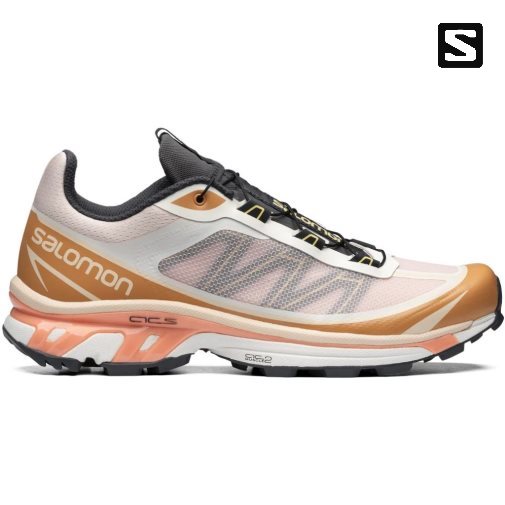 Salomon Xt-6 Ft Tenisky Panske Viacfarebný | SK 4MXVET